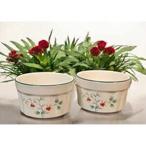 Set of 2 Pfaltzgraff WINTERBERRY Ramekin Bowls Dip Bowls 8oz. Stoneware 4"W EUC